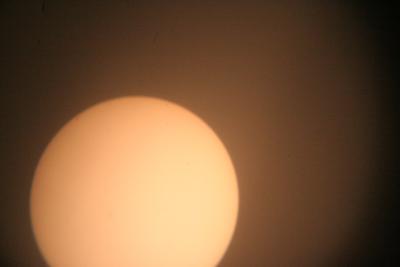 img_7785.jpg